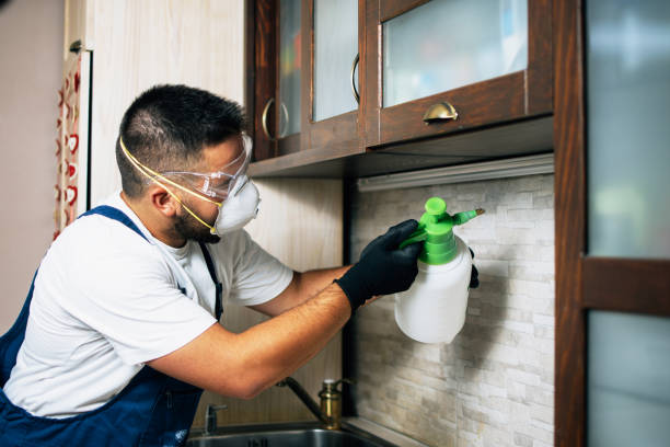 Best Commercial Pest Control Services  in Throop, PA