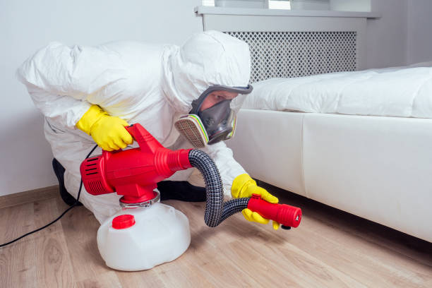 Best Bed Bug Extermination  in Throop, PA