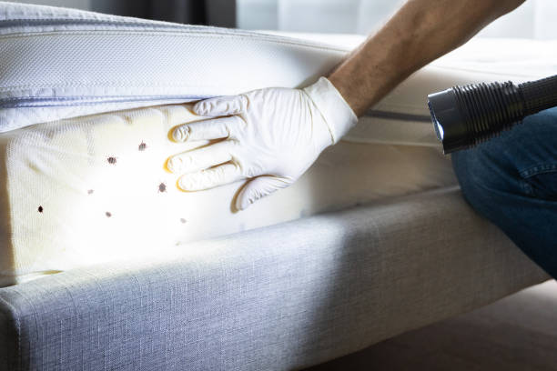 Best Exterminator Services  in Throop, PA